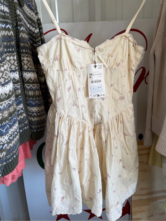 Zara Dresses & Skirts - NWT Zara corset mini dress